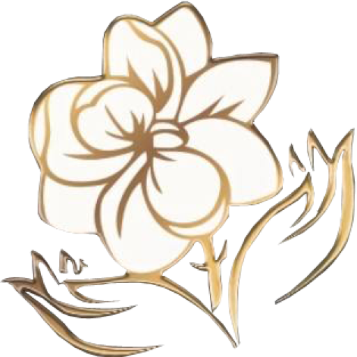 Elation Massage and Spa