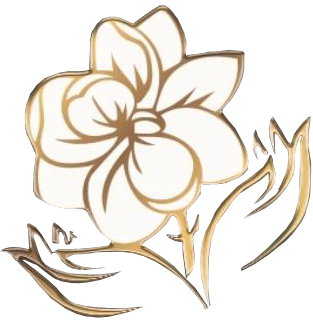 Elation Massage and Spa